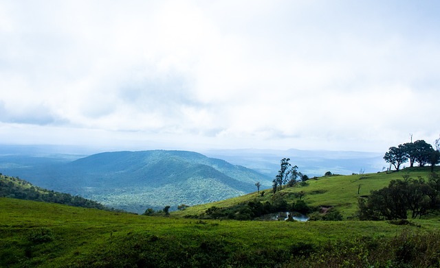 还为球队之 还为球队之