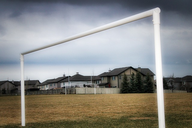 葡媒：德羅巴的兒子已經失聯2個月.