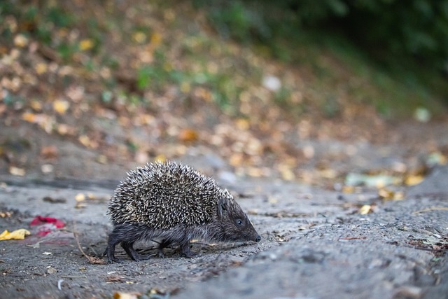 和刁钻的线 和刁钻的线