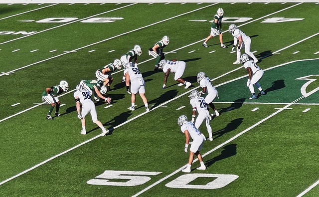 阿里与凯恩 阿里与凯恩